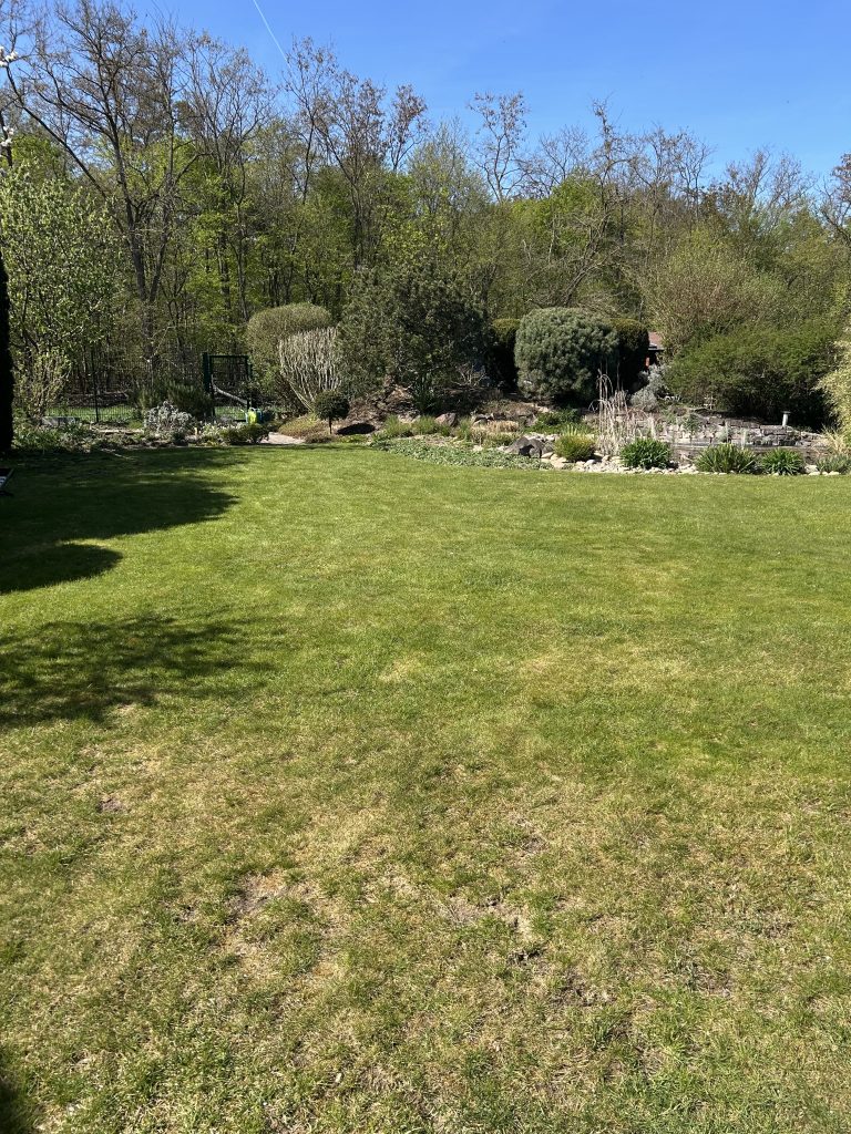 Referenzen IMG 7488 768x1024