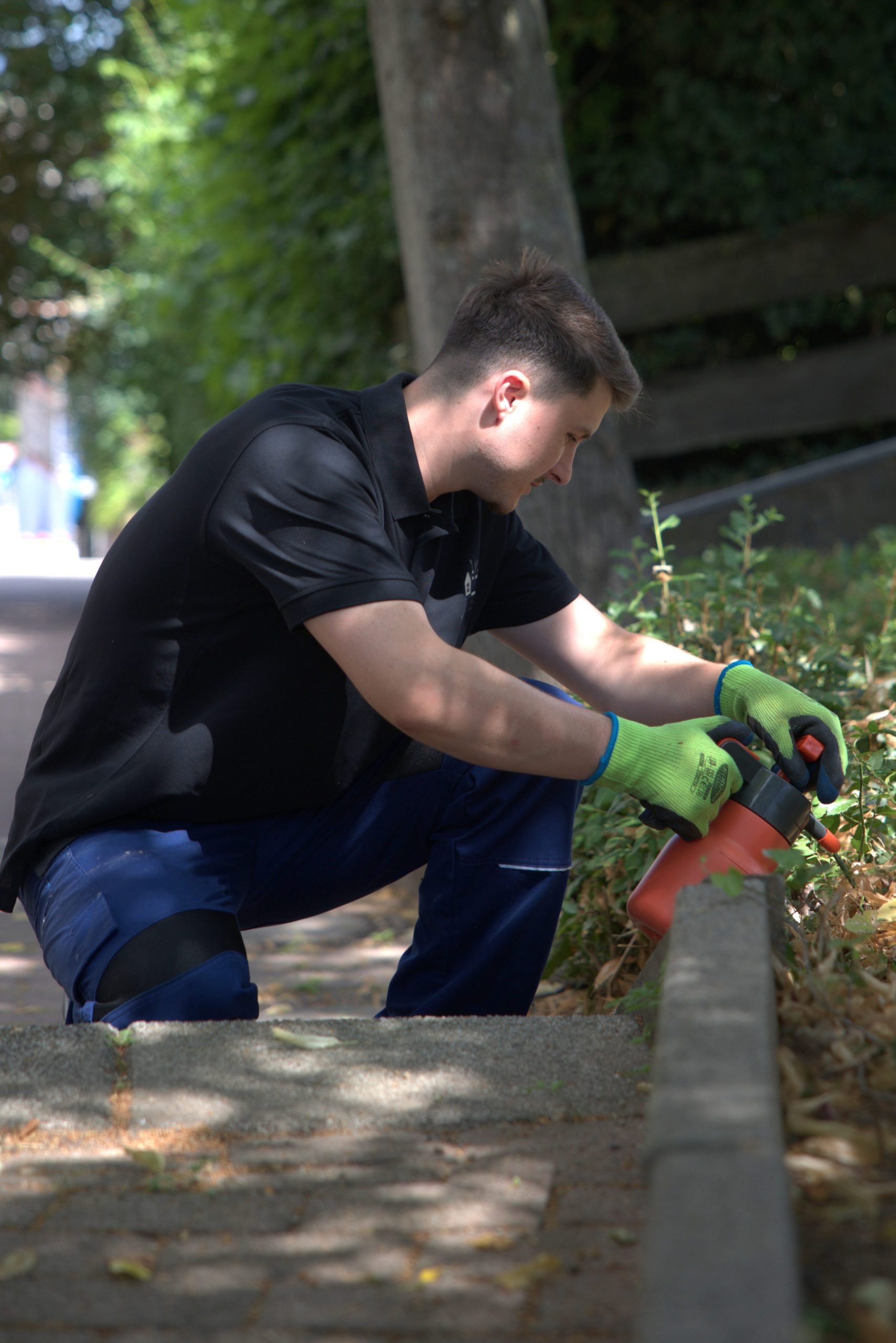 Referenzen r6p 5581 1